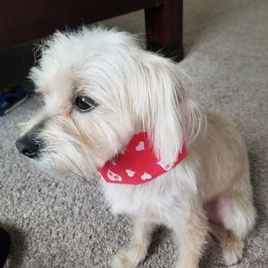 Meet your Posher, Crystal